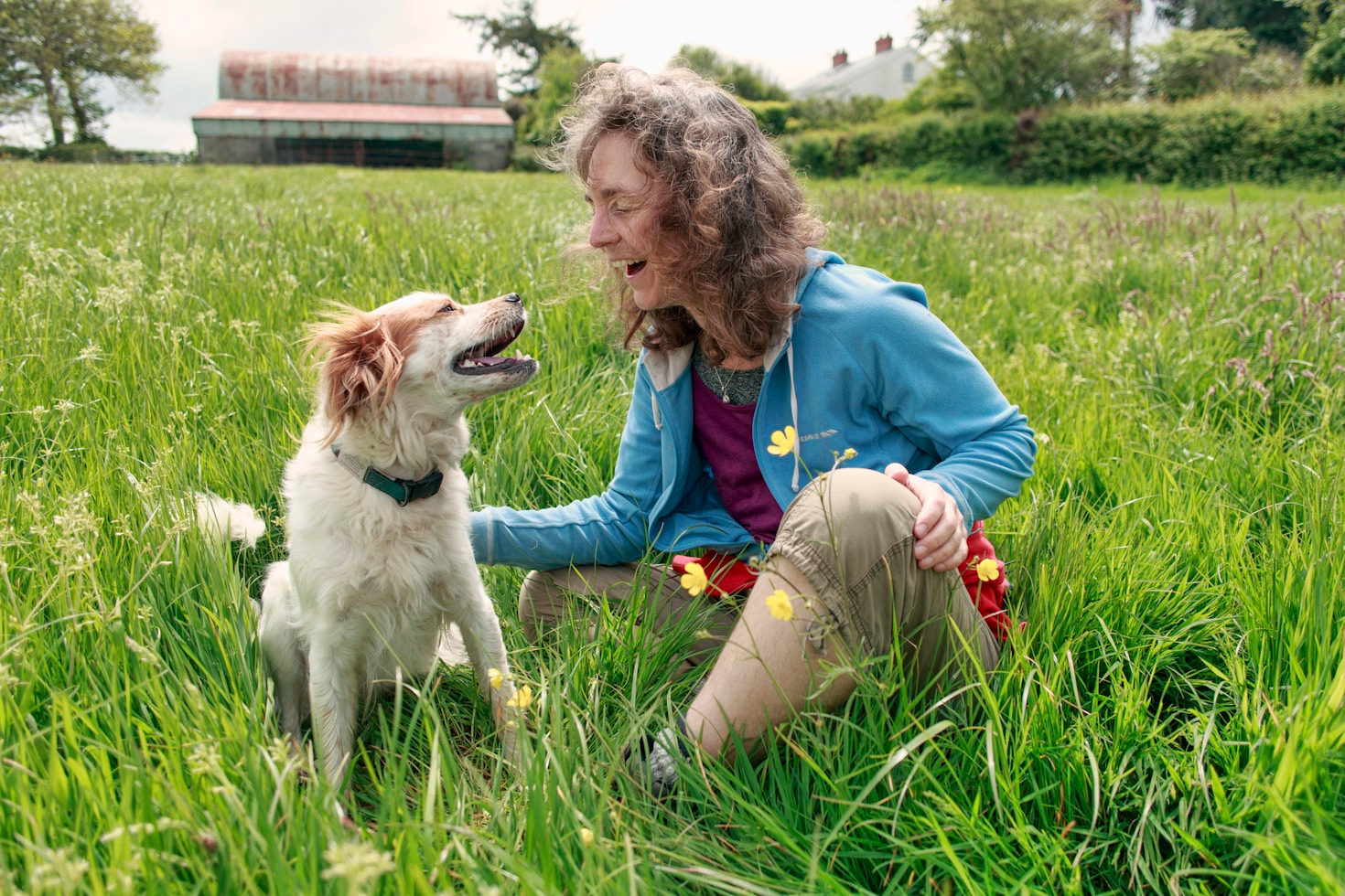 A Visual Journey Through Canine History