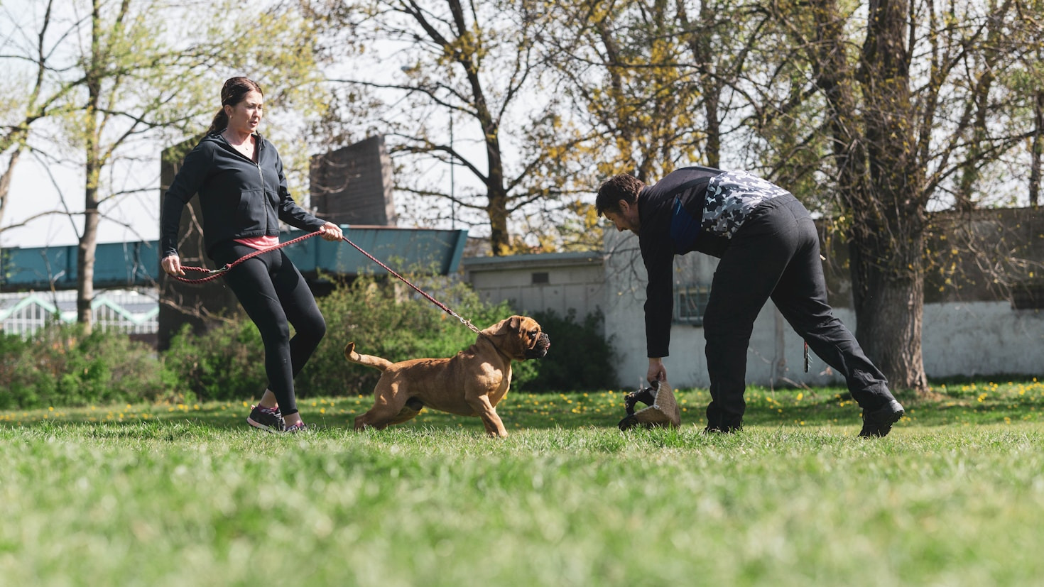 Why Every Dog Has A Unique Story